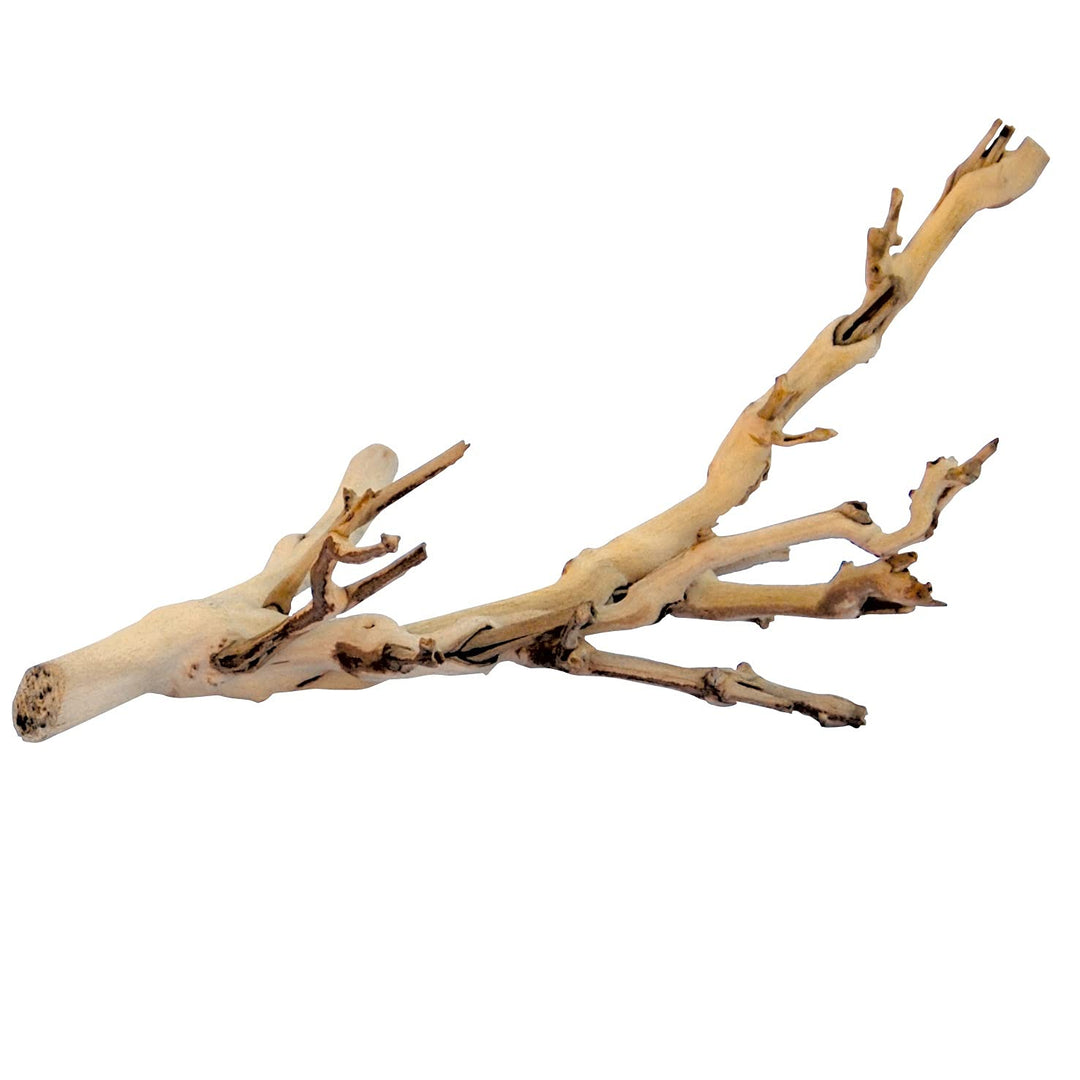 Exo Terra Forest Branch Small - Natural Wood Terrarium Decoration