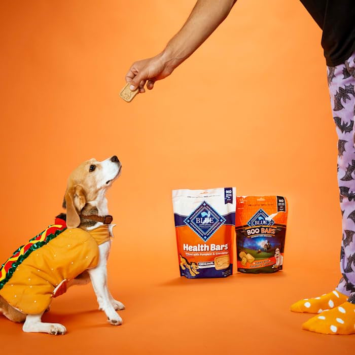 Blue Buffalo Health Bars Pumpkin &amp; Cinnamon Dog Biscuits, 16 oz
