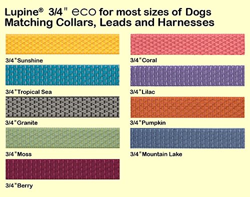 LupinePet Eco 3/4" Mountain Lake 9-14" Adjustable Collar for Small Dogs