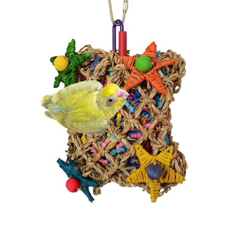 Super Bird Creations SB50949 Pickin’ Pocket Bird Toy - Ideal for Cockatiels, Parakeets, Parrots - Small to Medium Birds - Fun &amp; Entertaining Bird Toy - Bird Safe Component &amp; Design - 7.5"x5" (2 Pаck)