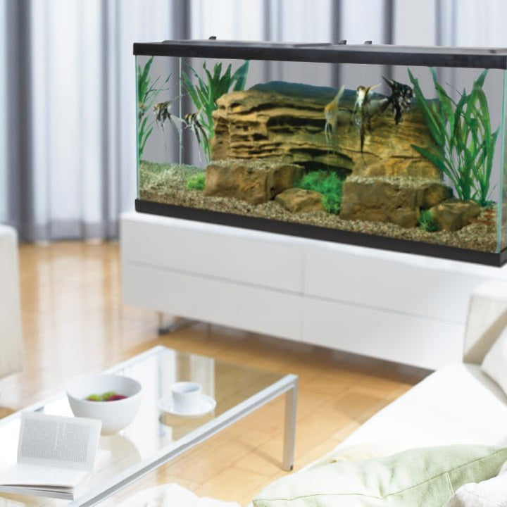 Tetra LED 55 Gallon Complete Fish Tank Kit for Freshwater Fish