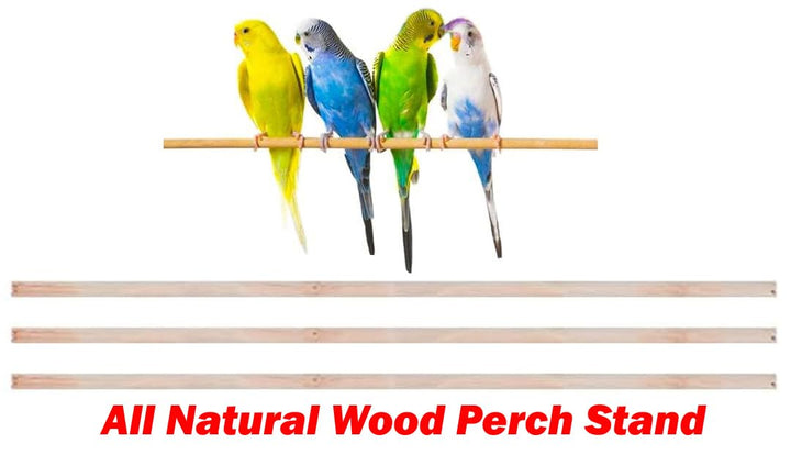Large Open/Close Top Bird Cage Side Breeding Nest Box Doors Easy Clean Pull Out Tray Clear Feeder Cups for Canary Parakeet Cockatiel Lovebird Finches with Removable Rolling Stand