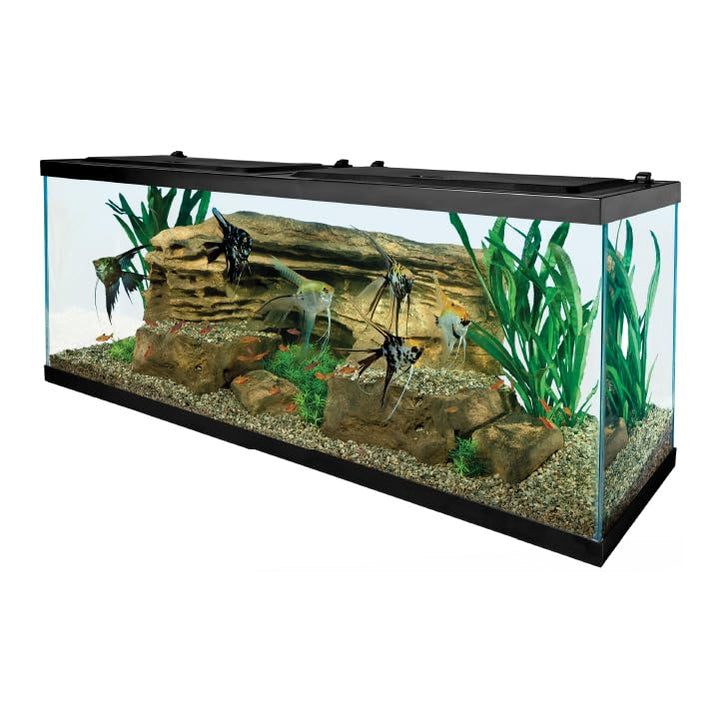 Tetra LED 55 Gallon Complete Fish Tank Kit for Freshwater Fish