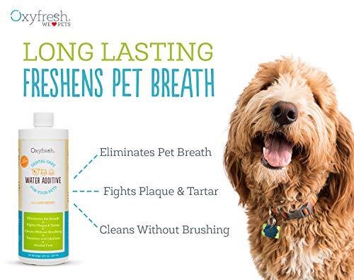 Oxyfresh Premium Pet Dental Care Solution Pet Water Additive – No Brushing