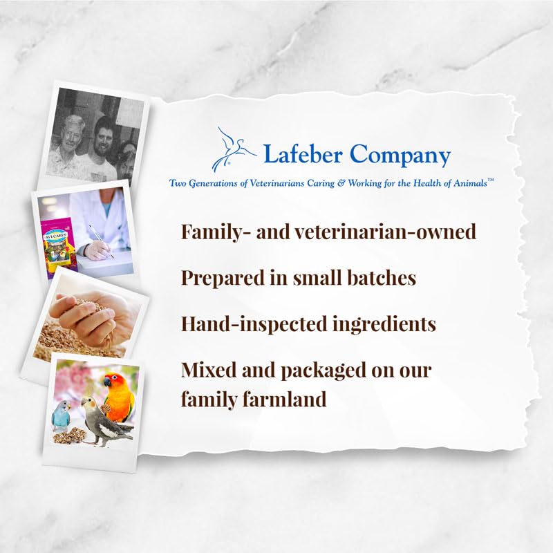 LAFEBER&