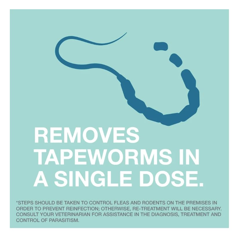 Elanco Tapeworm Dewormer (praziquantel tablets) for Cats and Kittens 6 Weeks and Older, 3-count