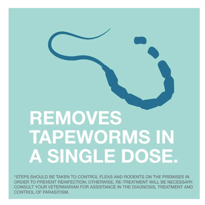Elanco Tapeworm Dewormer (praziquantel tablets) for Cats and Kittens 6 Weeks and Older, 3-count