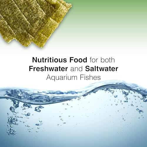 Two Little Fishies Atlsvgs4 Sea Veg-Green Seaweed, 1 Oz (Pack of 2)