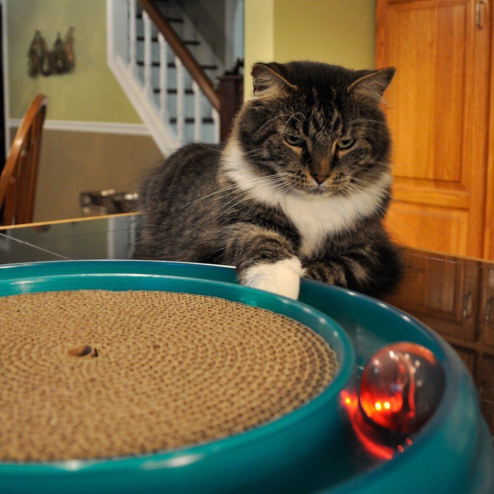 Bergan Star Chaser Catnip Toy Assorted, 1ea