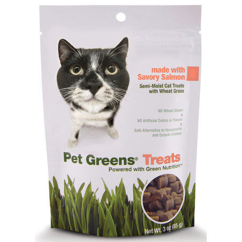 Pet Greens Cat Craves Semi-Moist Soft Cat Treats Salmon 1ea/3 oz
