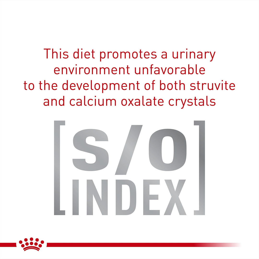 ROYAL CANIN Veterinary Diet Feline Gastrointestinal Moderate Calorie Adult Thin Slices in Gravy Cat Food, 3 oz (Pack of 24)