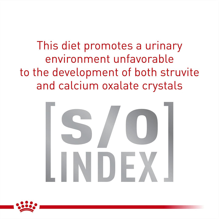 ROYAL CANIN Veterinary Diet Feline Gastrointestinal Moderate Calorie Adult Thin Slices in Gravy Cat Food, 3 oz (Pack of 24)