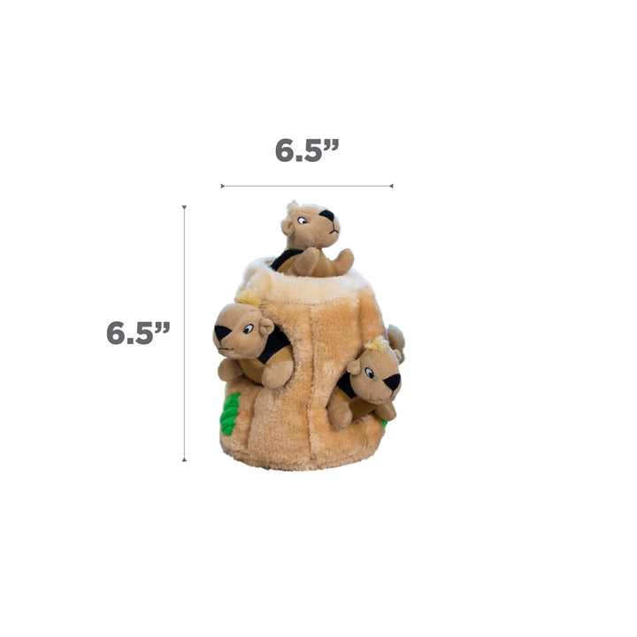 Outward Hound Hide-A-Squirrel Plush Squeaky Dog Toy, Medium, 6.5" x 6.5"