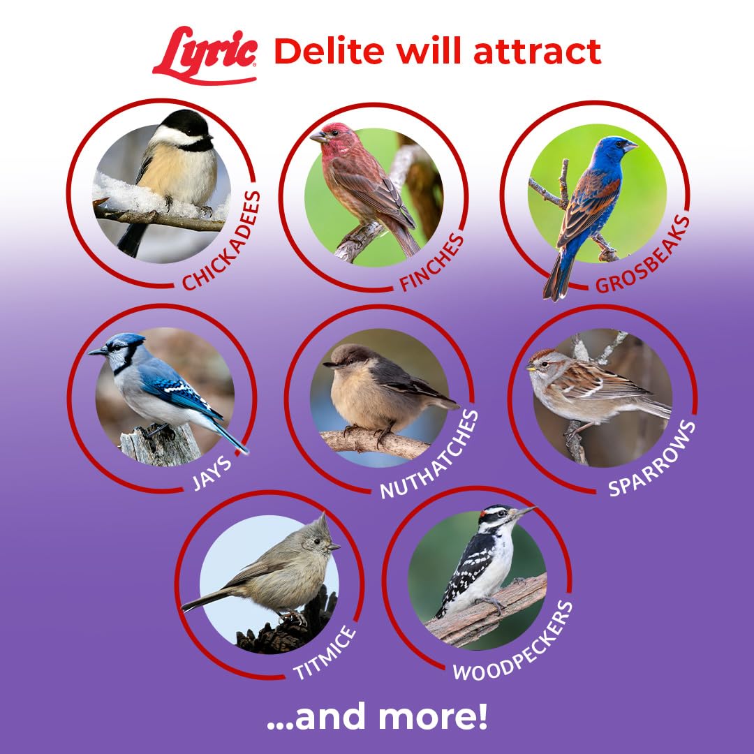 Lyric Delite Wild Bird Seed Shell-Free No Waste Mix, Bird Food 5 lb. Bag