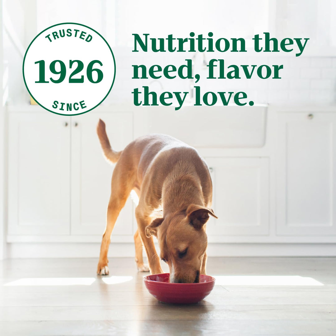 Nutro Ultra Pate Wet Dog Food, Chicken, Lamb &amp; Whitefish, 3.5 oz, 24 Count