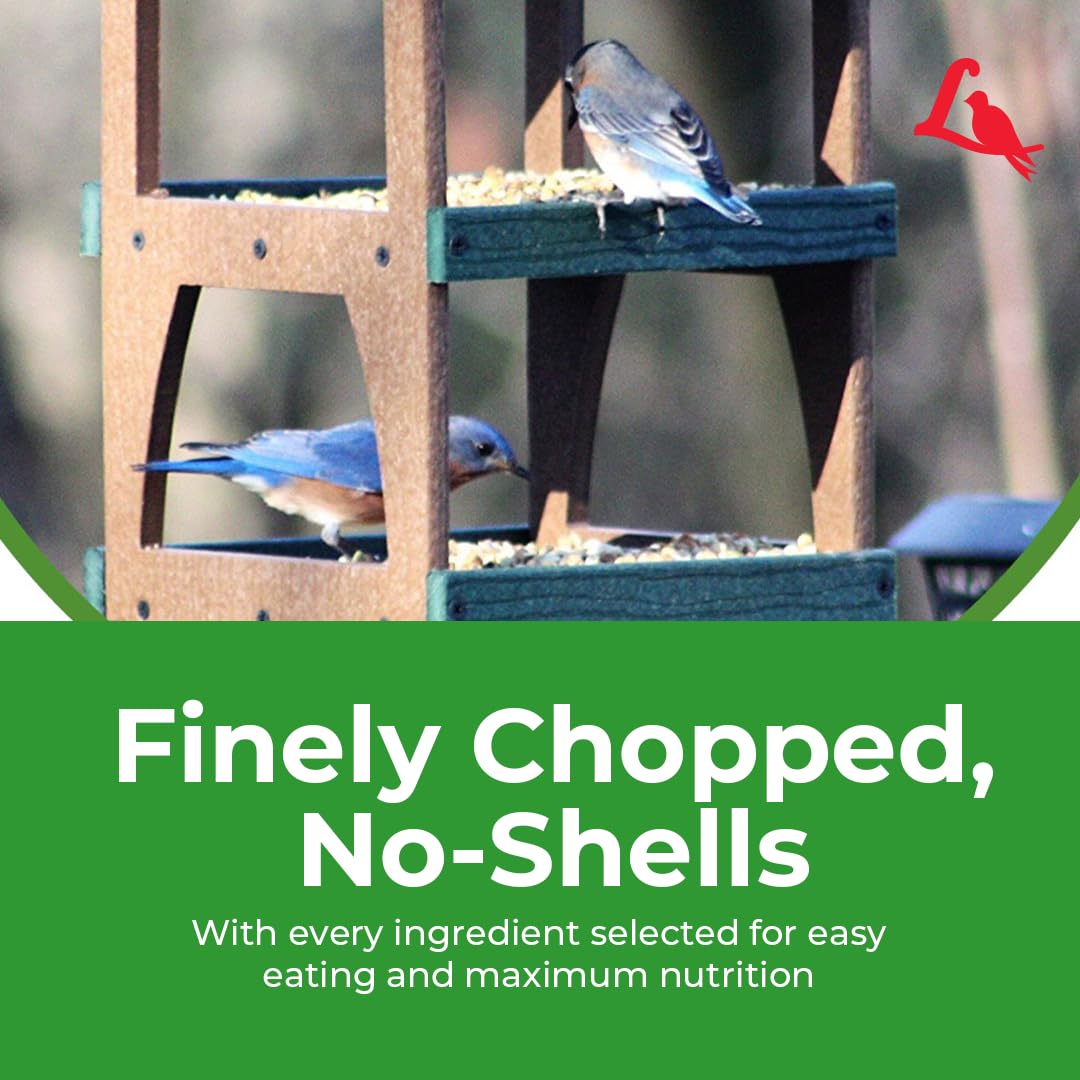 Lyric Fine Tunes Wild Bird Seed Mix - No Waste Bird Food Mix - Attracts Bluebirds, Finches, Chickadees &amp; More - Seed for Outside Feeders - 15 lb Bag