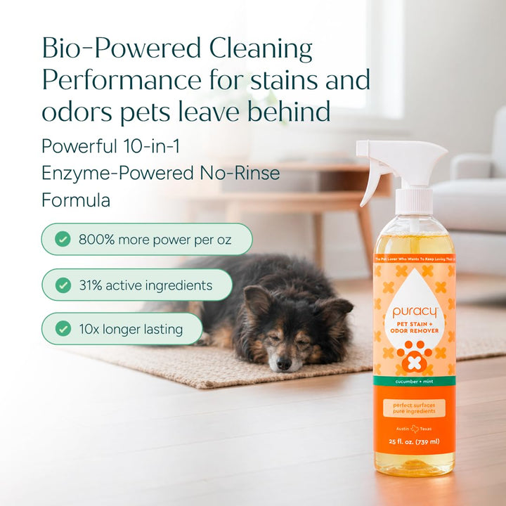 Puracy Pet Stain and Odor Remover - Enzyme Cleaner for Dog &amp; Cat Urine and Poop on Carpet, Professional Pet Carpet Stain Remover, Cucumber &amp; Mint, 25oz