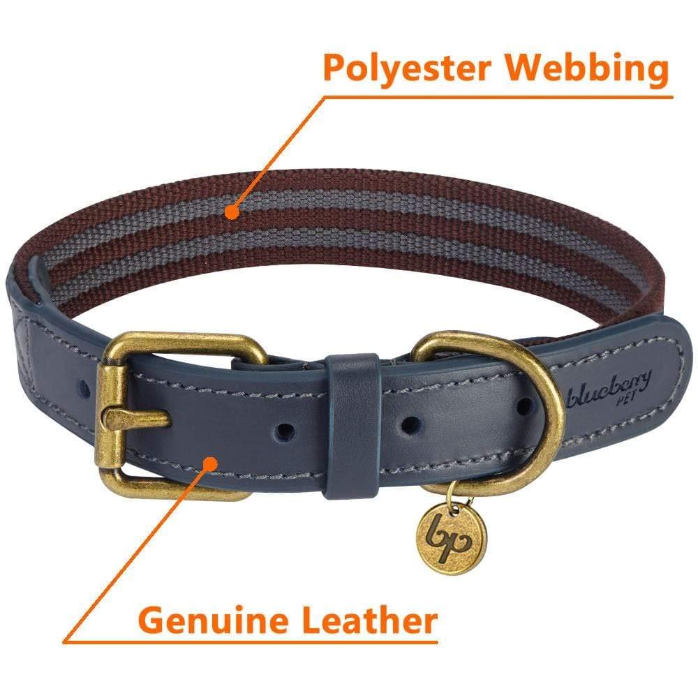 Blueberry Pet Soft Genuine Leather Dog Collar for Small Dogs - Adjustable Stylish Dog Collars, Leather Dog Collar in Noir Grey/Burgundy - Eco Brass Buckle, Size 12&