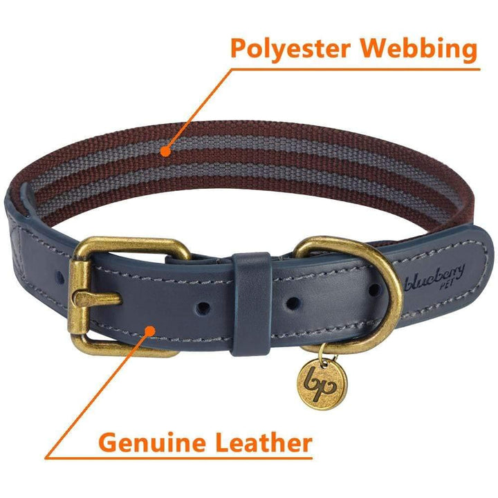 Blueberry Pet Soft Genuine Leather Dog Collar for Small Dogs - Adjustable Stylish Dog Collars, Leather Dog Collar in Noir Grey/Burgundy - Eco Brass Buckle, Size 12&