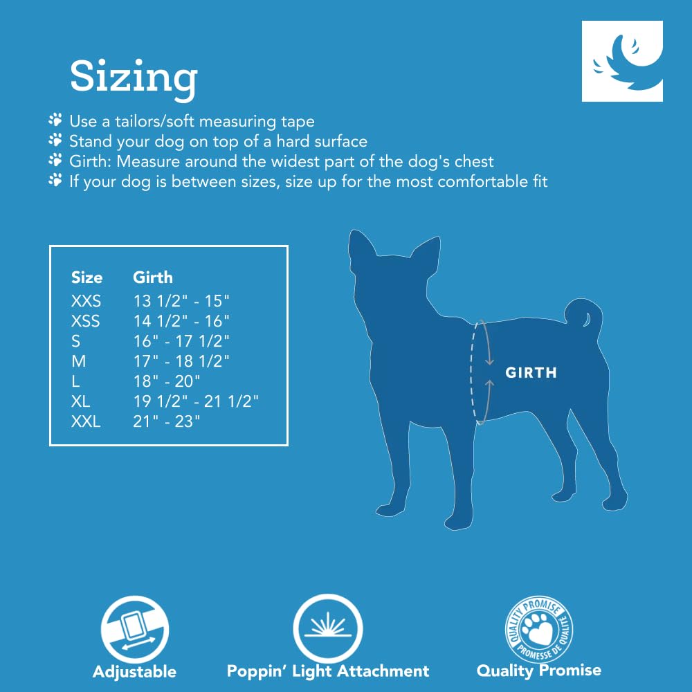 RC Pet Products Step in Cirque Soft Walking Dog Harness, Medium, Black