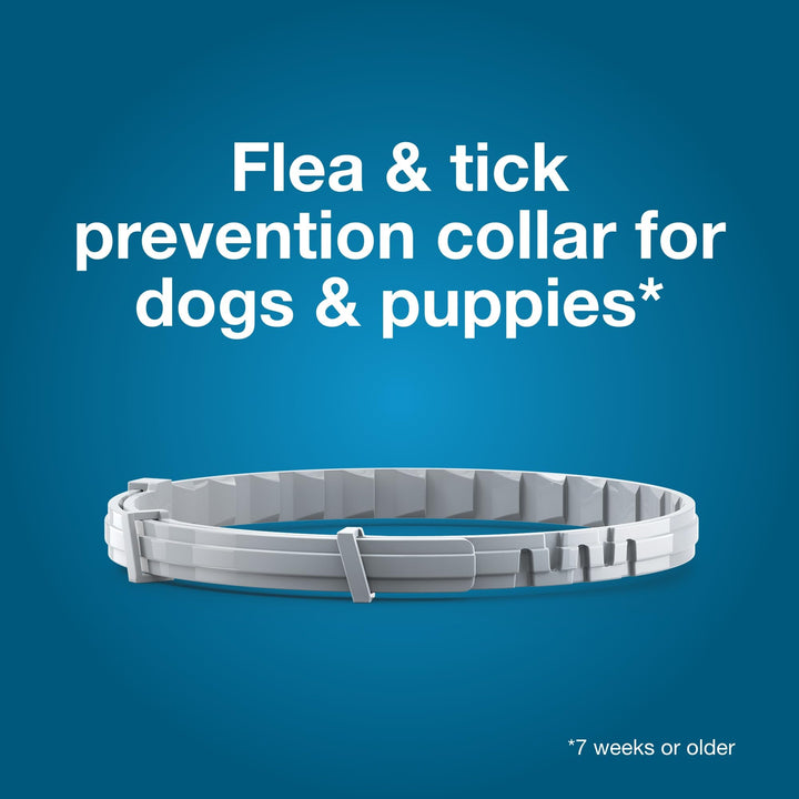 Seresto 8-Month Flea &amp; Tick Collar for Large Dogs Over 18 lbs., 1ct