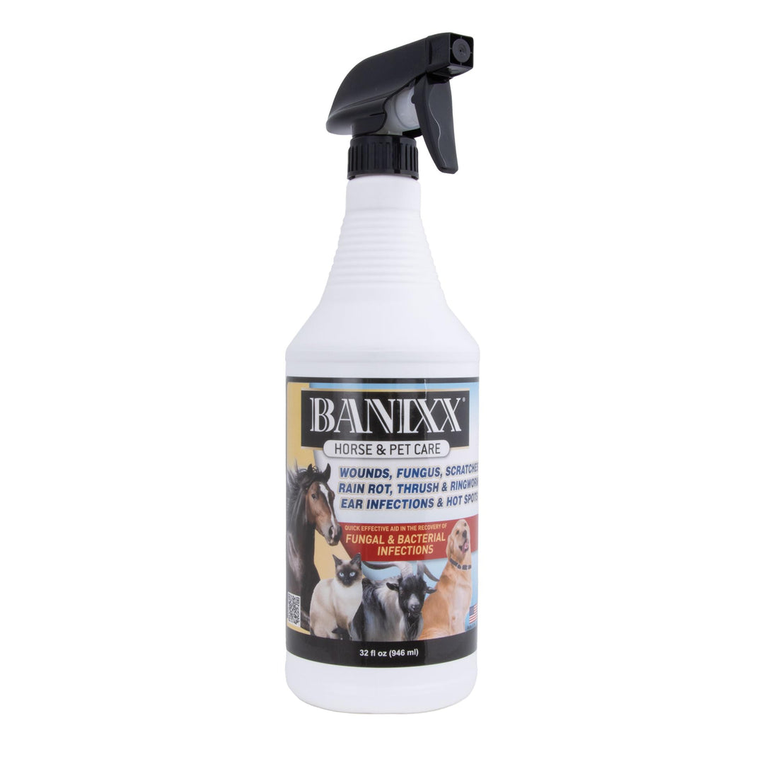 BANIXX Horse and Pet Care Spray for Horses, Dogs and Cats, Daily Skin and Coat Care Spray, Alcohol-Free, Non-Staining, No Odor, Made in USA, Grooming and Hoof Care Formula, 32 oz