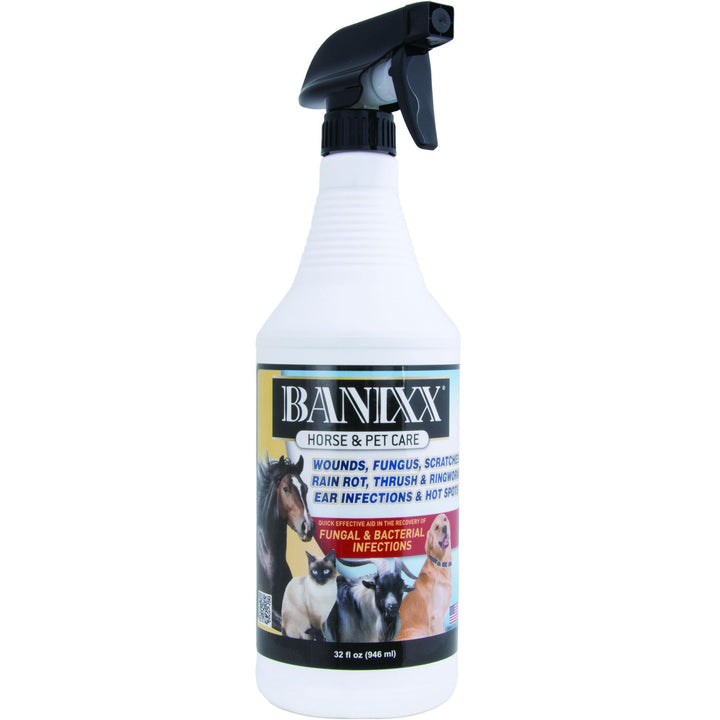 BANIXX Horse and Pet Care Spray for Horses, Dogs and Cats, Daily Skin and Coat Care Spray, Alcohol-Free, Non-Staining, No Odor, Made in USA, Grooming and Hoof Care Formula, 32 oz