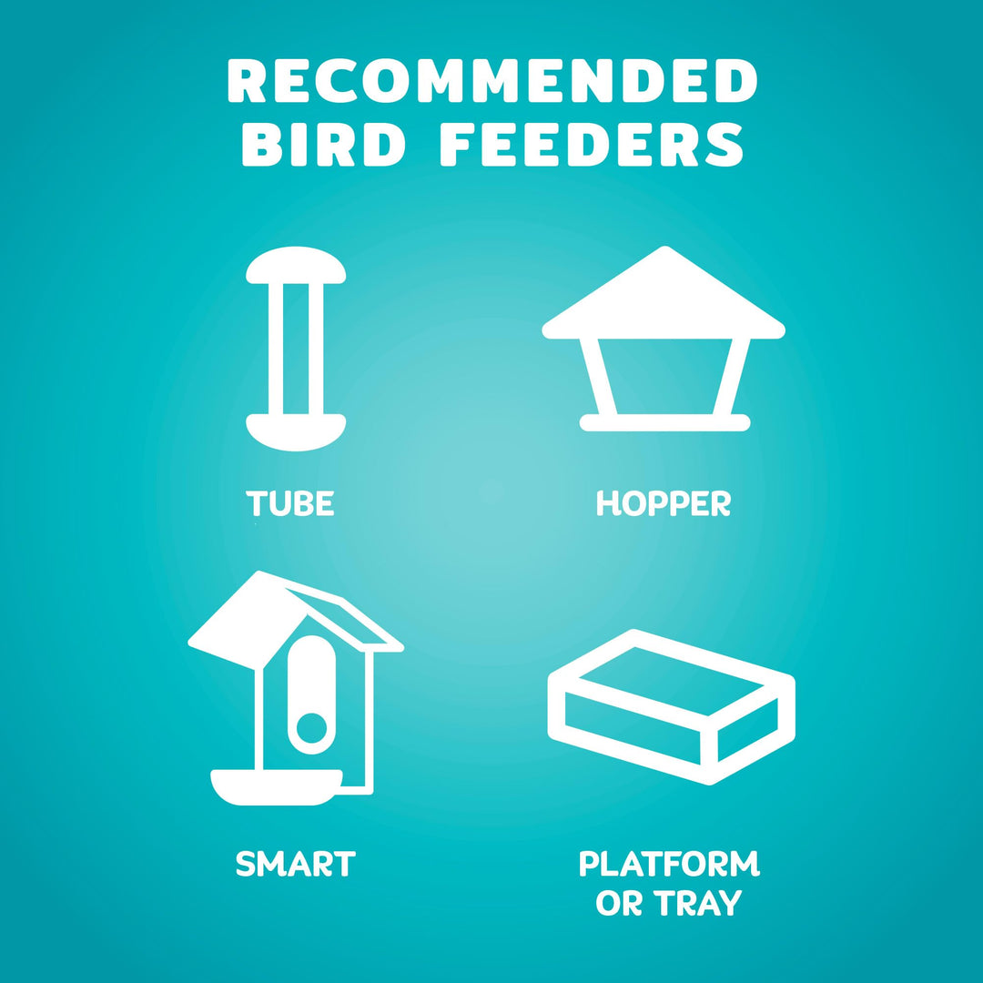 Audubon Park Waste Free Wild Bird Seed, 12 lb