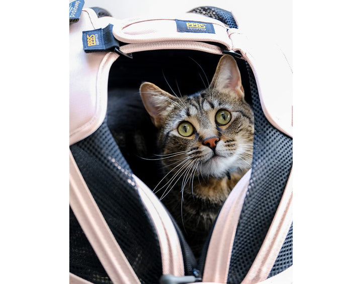 Sleepypod® Mobile Pet Bed, Crash Tested Cat/Dog Car Seat + Carrier, Pink