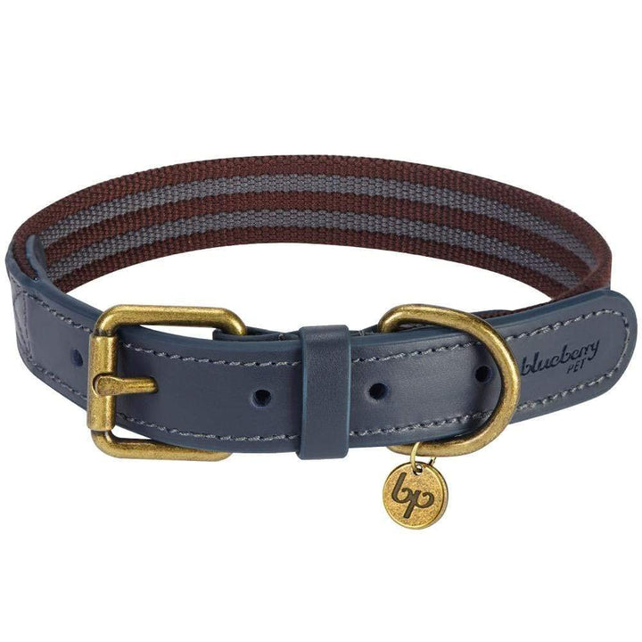 Blueberry Pet Soft Genuine Leather Dog Collar for Small Dogs - Adjustable Stylish Dog Collars, Leather Dog Collar in Noir Grey/Burgundy - Eco Brass Buckle, Size 12&