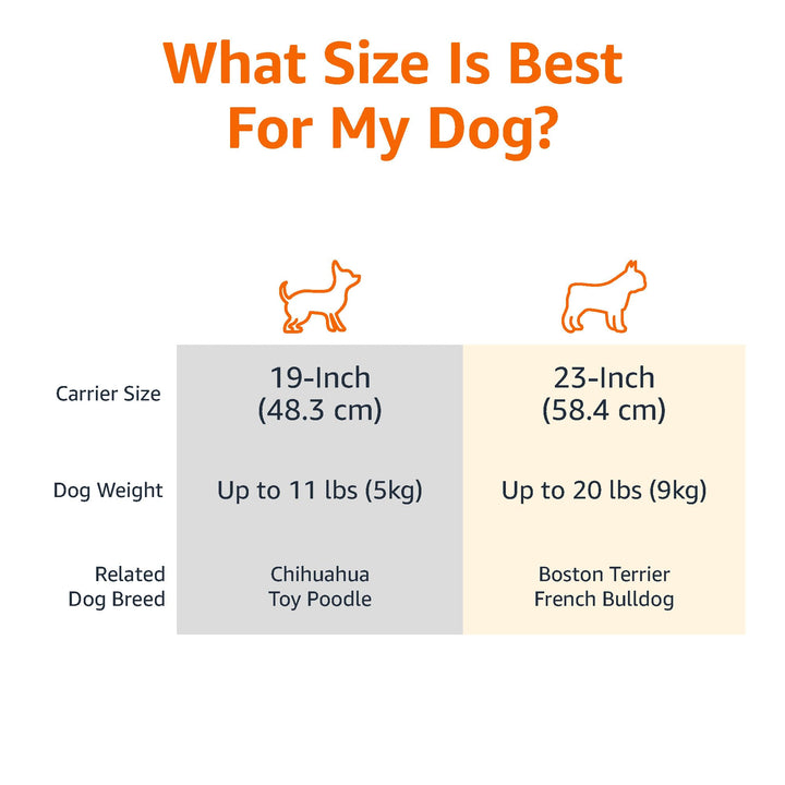 Amazon Basics Sturdy Portable 2-Door Top-Load Hard-Sided Pet Travel Carrier with Secure Ventilation, Handle, Front &amp; Top Entry for Dogs, Cats, 22.8"L x 15"W x 13"H, Gray &amp; Blue