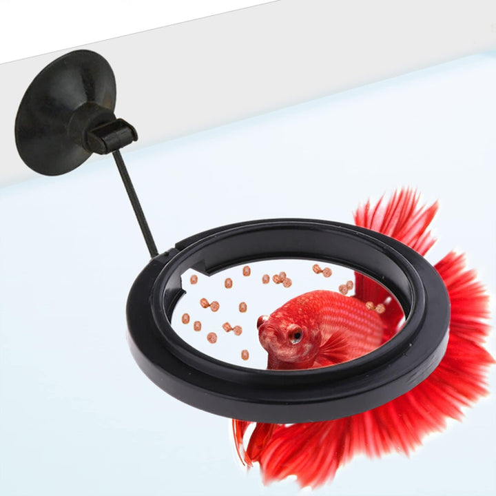 SunGrow Betta Feeding Ring with Suction Cup for Guppy &amp; Small Fish, 1 Pc