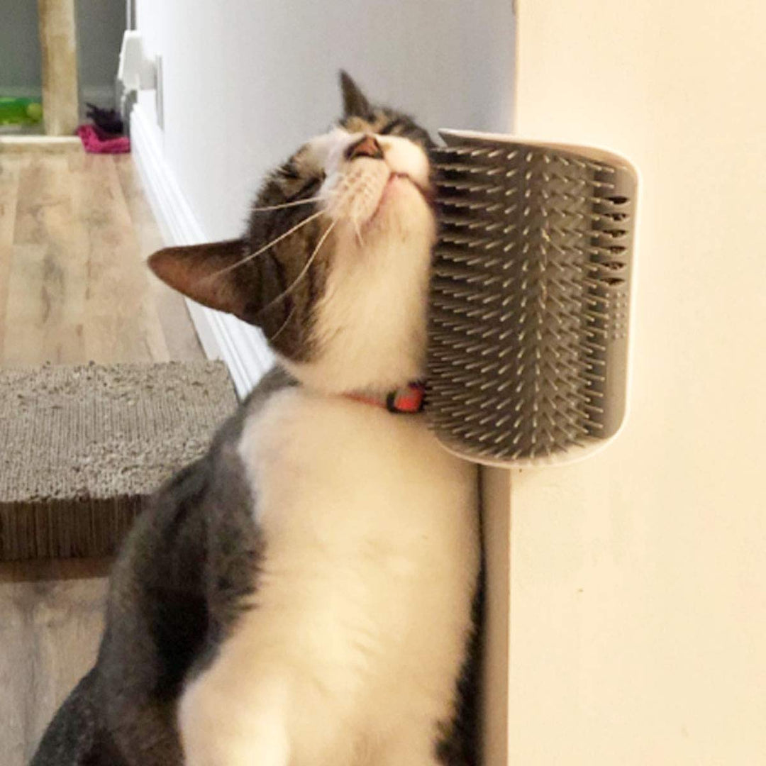 2 Pack Softer Self Groomer with Catnip Wall Corner Massage Comb Scratcher Grooming Brush Tool for Long &amp; Short Fur Kitten Cats Dogs (Gray)