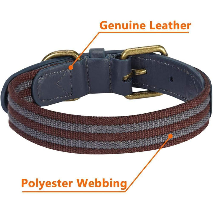 Blueberry Pet Soft Genuine Leather Dog Collar for Small Dogs - Adjustable Stylish Dog Collars, Leather Dog Collar in Noir Grey/Burgundy - Eco Brass Buckle, Size 12&