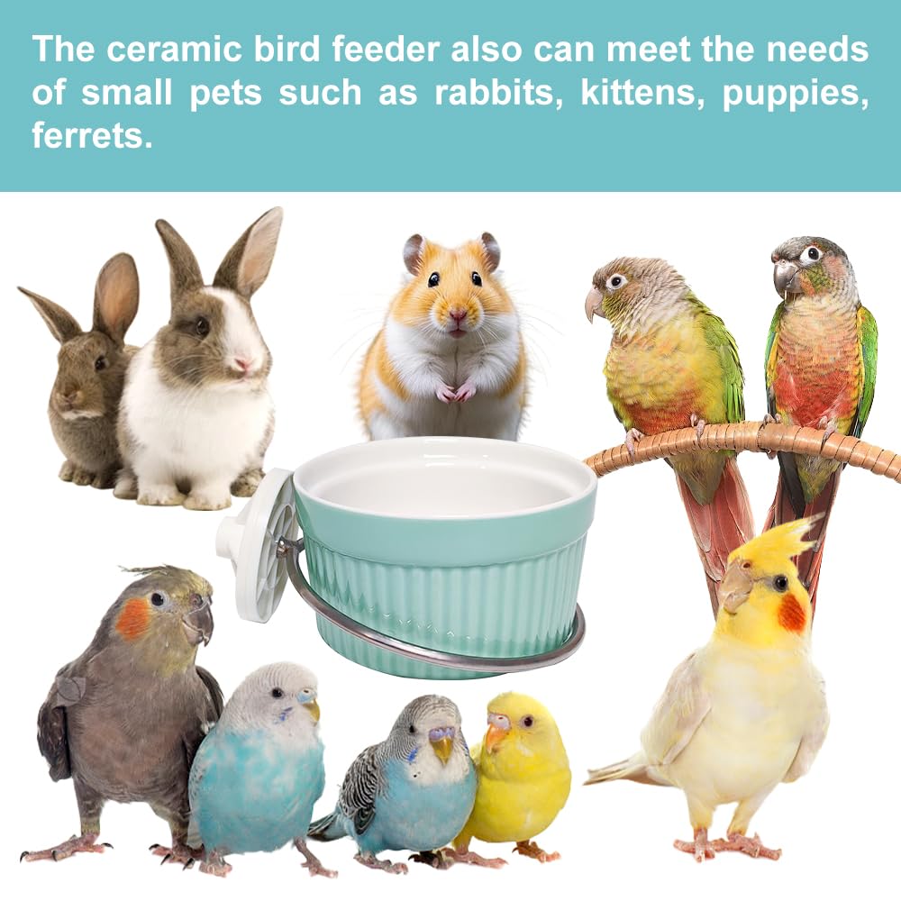Bird Feeding Cups Parrot Food Cage Bowl Clamp Holder Coop Cup, Ceramic Bird Cage Water Bowl, Pet Feeder Cage for Parakeet African Greys Conure Cockatiels Lovebird Budgie (Blue)