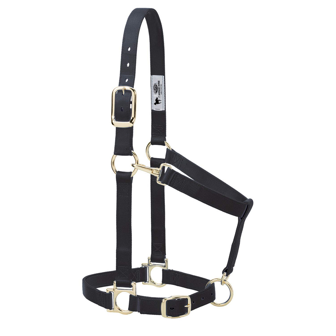 Weaver Equine Nylon Horse Halter, Small Horse, Padded &amp; Adjustable, 1 in