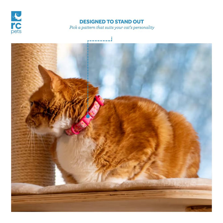 RC Pets Kitty Breakaway Cat Collar, Reflective