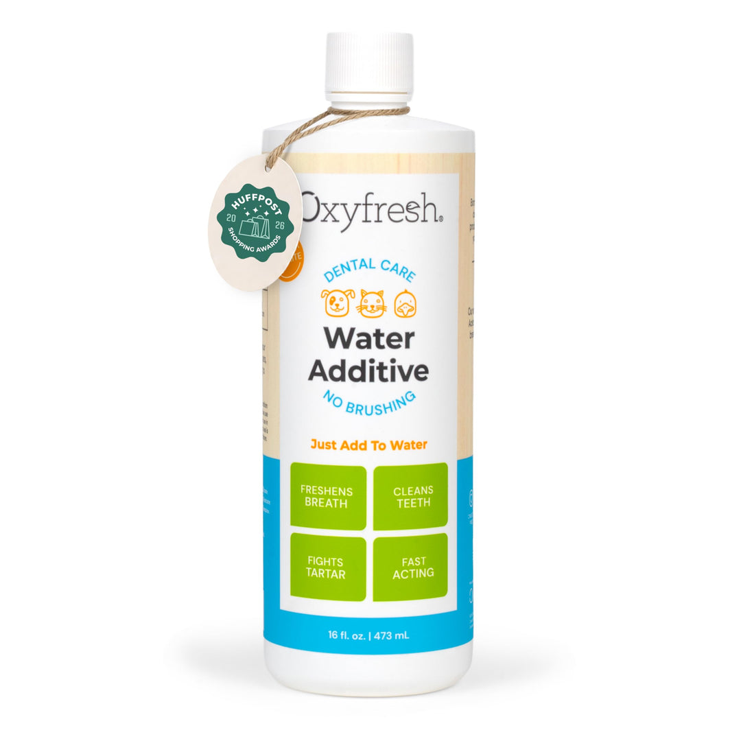 Oxyfresh Premium Pet Dental Care Solution Pet Water Additive: Best Way to Eliminate Bad Dog Breath and Cat Bad Breath - Fights Tartar &amp; Plaque - So Easy, Just Add to Water! Vet Recommended 16 oz.