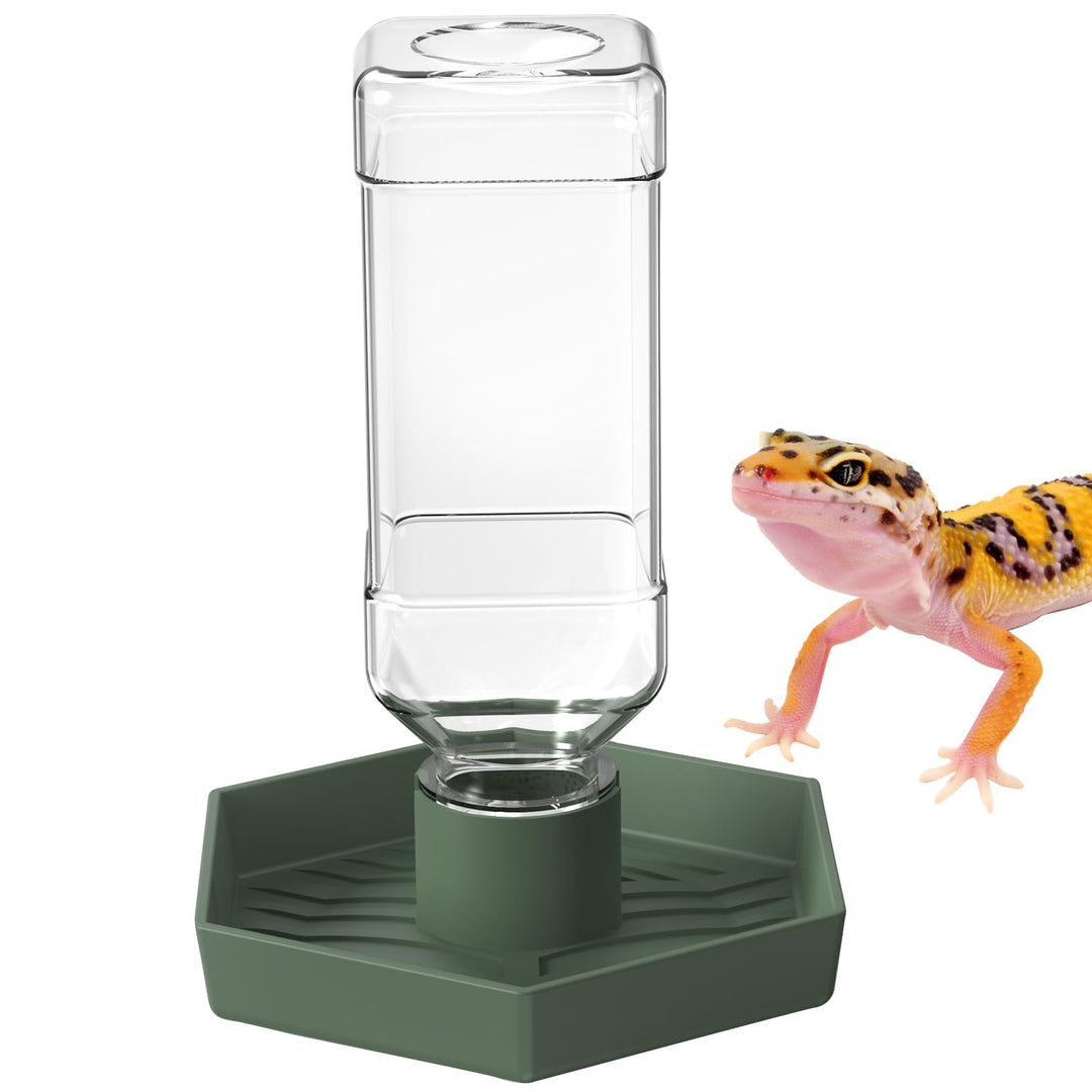 NOMOY Reptile Water Dispenser Bowl for Bearded Dragon Tortoise