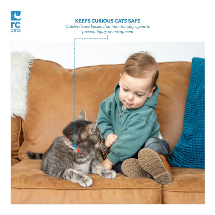 RC Pets Kitty Breakaway Cat Collar, Reflective