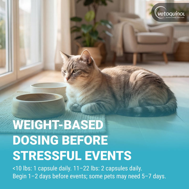 Vetoquinol Zylkene, Calming Capsules for Small Dogs &amp; Cats, 30 Capsules
