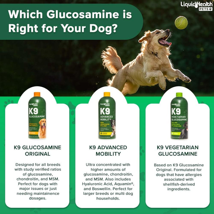 LIQUIDHEALTH Pets K9 Liquid Glucosamine for Dogs, Puppies, Senior Canines with Chondroitin, MSM, Hyaluronic Acid - Dog Vitamins for Hip &amp; Joint Health, Dog Joint Oil, Joint Juice - Made in USA (32 oz)