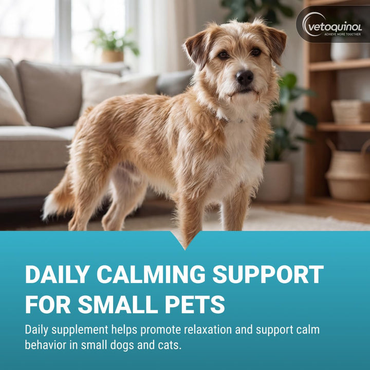 Vetoquinol Zylkene, Calming Capsules for Small Dogs &amp; Cats, 30 Capsules