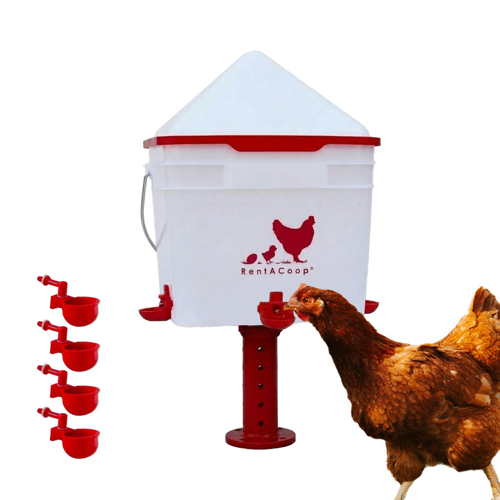 RentACoop 2 Gallon Chicken Waterer with Cups &amp; Nipples, Center Placement