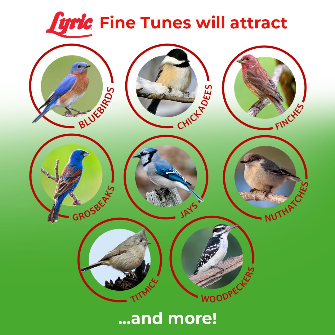 Lyric Fine Tunes Wild Bird Seed Mix - No Waste Bird Food Mix - Attracts Bluebirds, Finches, Chickadees &amp; More - Seed for Outside Feeders - 15 lb Bag