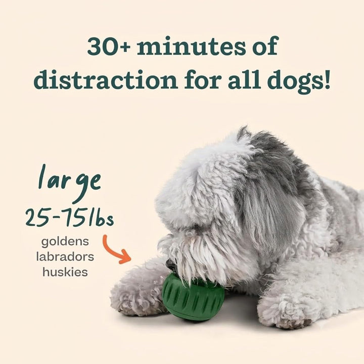 WOOF Starter Pack Dog Treat Toy for Large Dogs 25-75 lbs