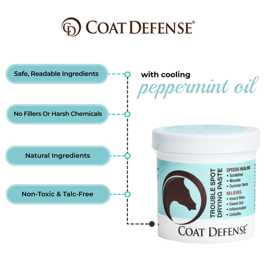 COAT DEFENSE Trouble Spot Drying Paste for Horses - Natural Equine Wound Care That Provides Safe &amp; Effective Relief from Scratches, Sweet Itch, Summer Sores, Proud Flesh, Mud Fever, Girth Rot (10 Oz)