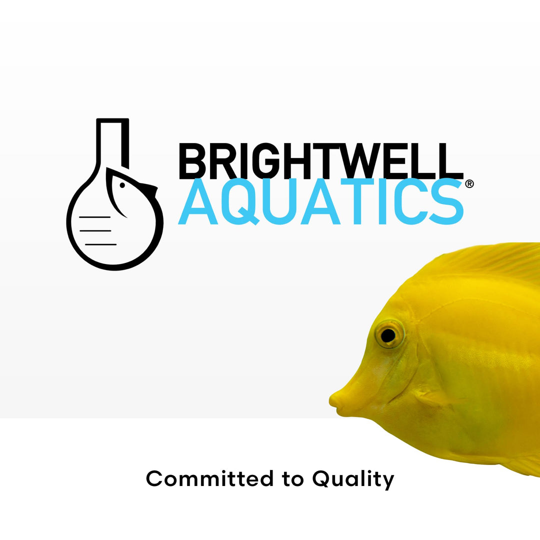 Brightwell Aquatics MicroBacter7 Biological Filter Bioculture Aid, 500 ml