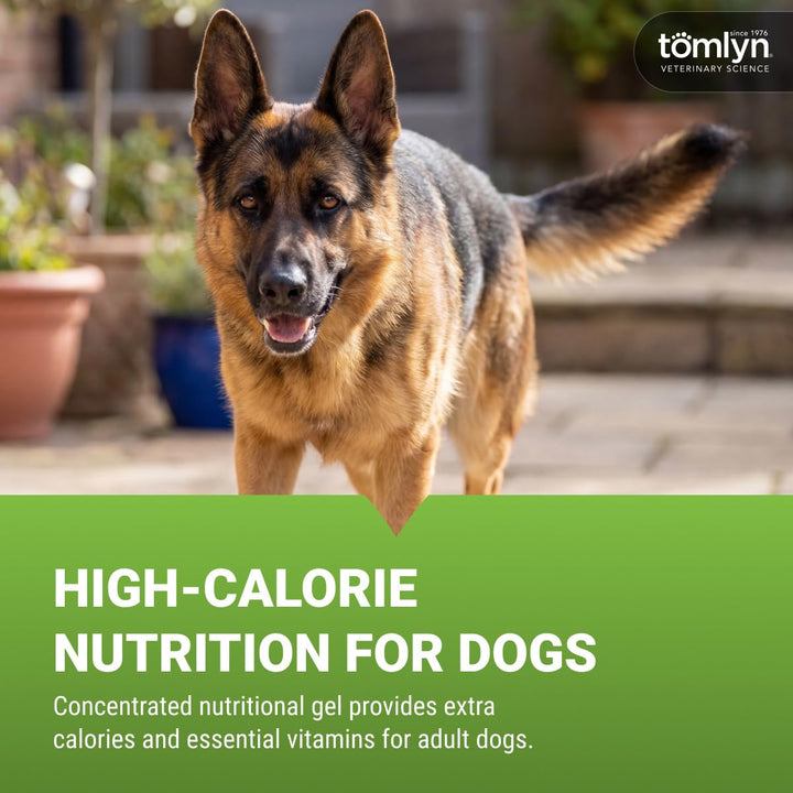 Tomlyn Nutri-Cal, High-Calorie Gel for Adult Dogs, 4.25 oz