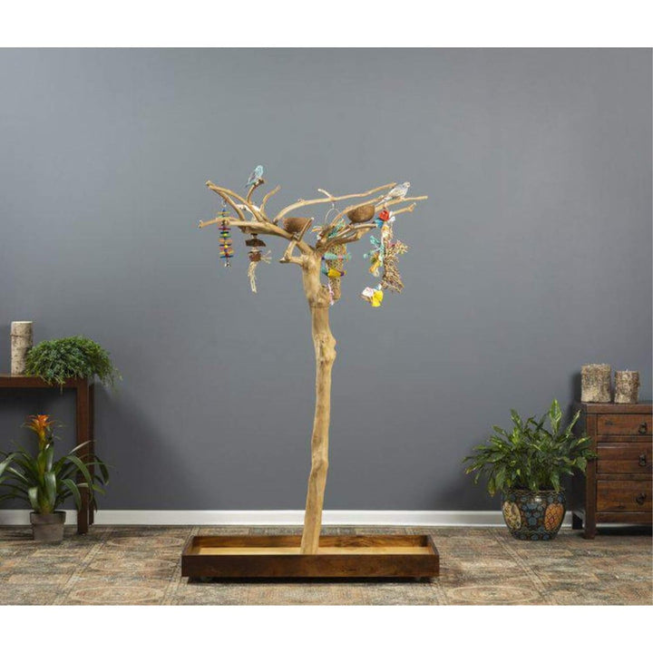 Prevue Pet Products Coffeawood Tree Style 